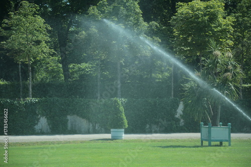Fototapeta Naklejka Na Ścianę i Meble -  Water sprinkler spraying fresh green lawn in summer park