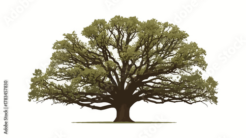 Majestic oak tree with dense foliage and thick branches
