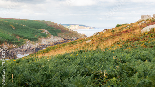 View of the cliffs around Pointe du Millier, in Finistère, Brittany, France.