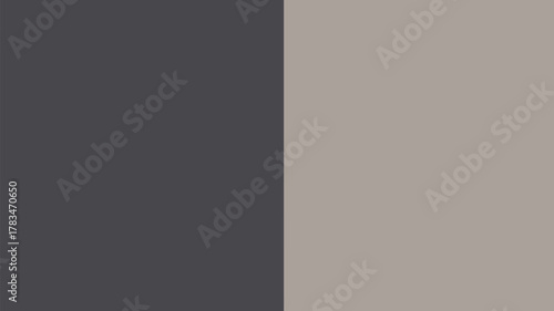 A vertical split of dark gray and light gray creating a simple color block abstract background design