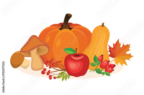 Autumn harvest pumpkin, mushroom, apple, rowanberry, rose hip vector illustration. Fall produce fruit, vegetable, crop icon set isolated on a white background. Fall harvest still life