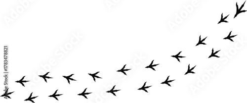 silhouette bird paw print stock vector illustration