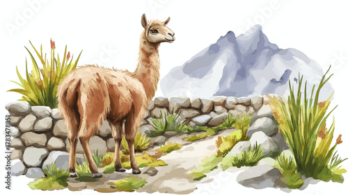 Inca Trail. Inca Trail hand drawn watercolor illustration