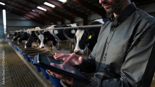 A farmer using a digital tablet to monitor cows in the barn. Cows are standing in a row in a clean environment.  Stock Video