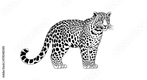 Abstract geometric shapes with flowing lines and curves in vibrant rgb colors