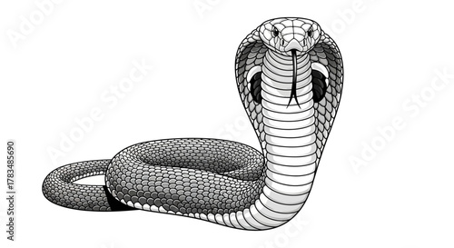 Abstract flowing lines and shapes with a modern artistic feel