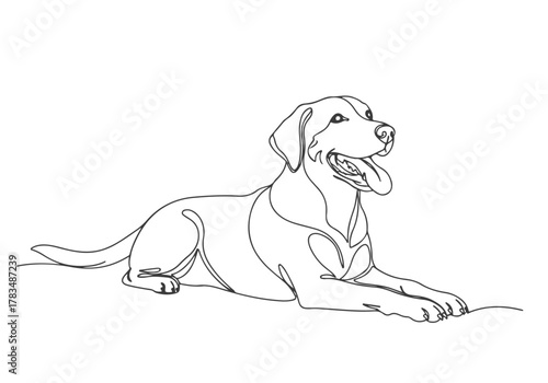 Continuous line drawing of a happy Labrador Retriever dog lying down, capturing the essence of domestic animal pets
