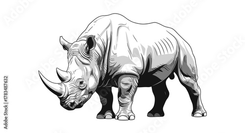 Abstract geometric shapes with smooth curves and gradients in rgb colors