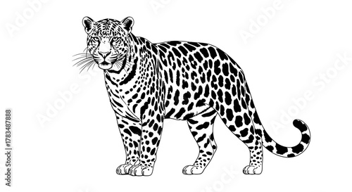 Abstract geometric shapes with flowing lines and curves in vibrant rgb colors