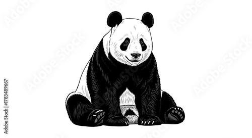 Abstract geometric shapes with smooth curves and sharp angles