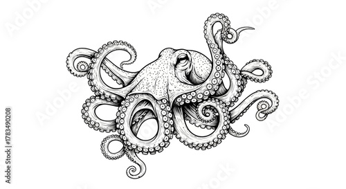 Abstract geometric shapes with flowing lines and curves in vibrant rgb colors