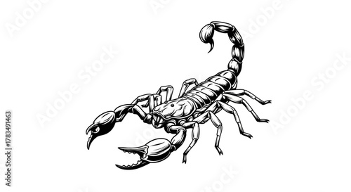 Abstract geometric shapes with organic curves in rgb color