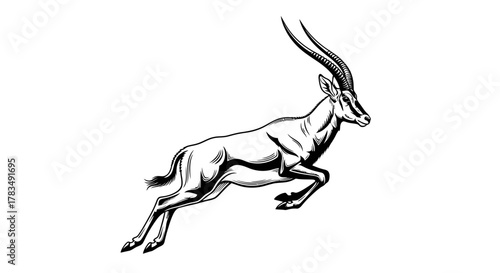 Abstract geometric shapes with flowing lines and curves