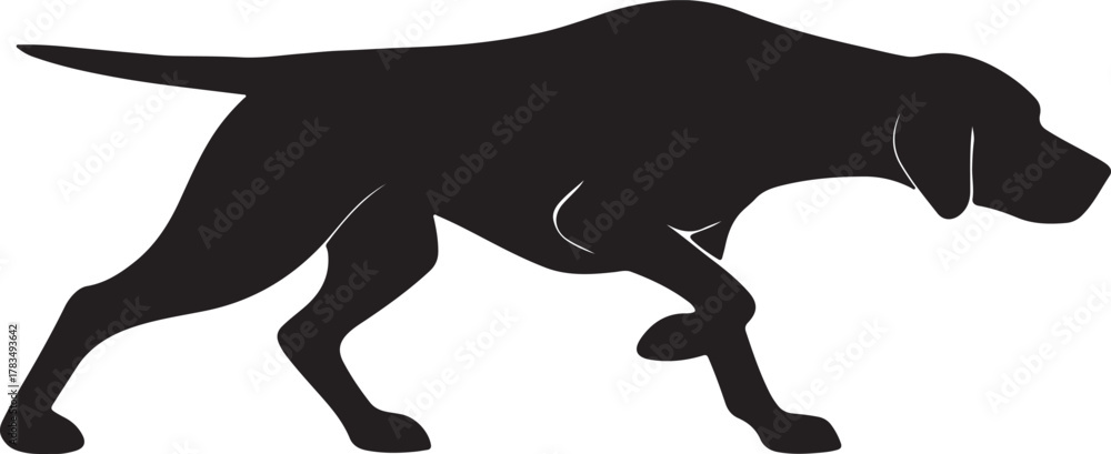 Obraz premium A sleek black silhouette of a hunting dog in a stalking pose