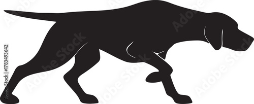 A sleek black silhouette of a hunting dog in a stalking pose