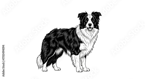 Abstract geometric shapes and lines with subtle curves in rgb color