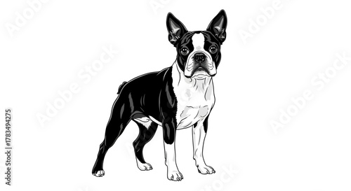 Abstract geometric shapes with flowing lines and curves in rgb color