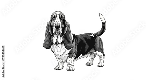 Abstract organic shapes and flowing lines in rgb color