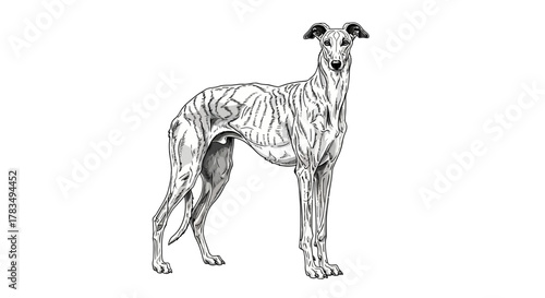 Abstract geometric shapes with flowing lines and curves in rgb color