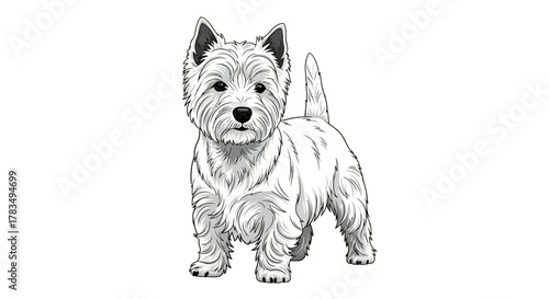 Abstract geometric shapes with flowing lines and curves in rgb color