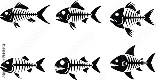 Illustration of set of fish skeletons in black and white style