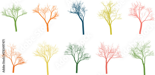 Colorful bare tree silhouette set on white background for artistic concepts