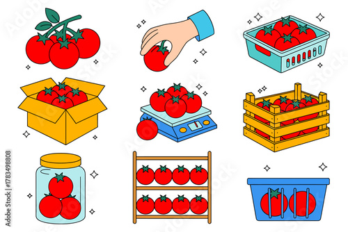 Variety of tomato icons for harvest, market, storage concepts