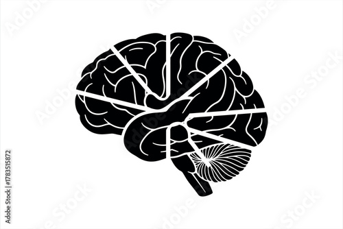 Brain Anatomy Icon