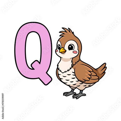 Letter Q with Cute Quail Bird Vector