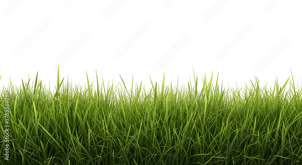 Fototapeta premium Horizontal border of vibrant, realistic green grass blades, isolated on transparent background.