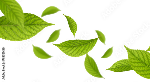 Scattered arrangement of floating/falling light green leaves, some detailed, isolated on transparent background.