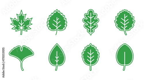 set of leaf icons in a linear design, including leaves of different shapes, vector illustration

