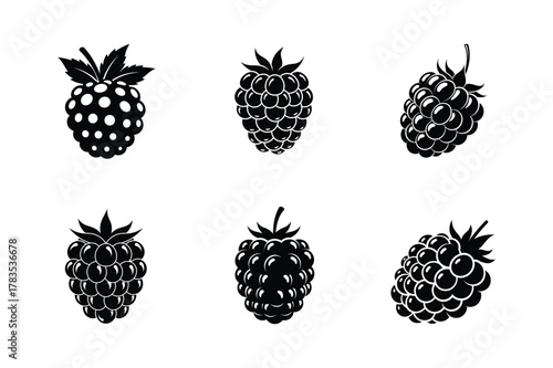 Six black berry silhouettes isolated on white background in different shapes