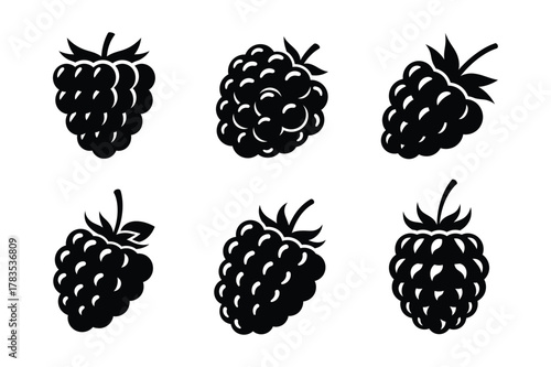 Six black berry silhouettes isolated on white background in various orientations