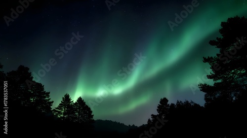 Fototapeta Naklejka Na Ścianę i Meble -  Ethereal green Aurora Borealis lights dance vibrantly over a dark silhouetted forest landscape under a star filled night sky