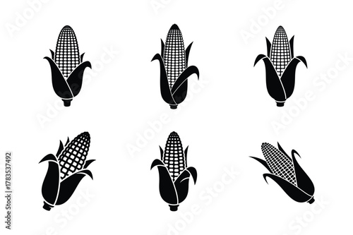 Six black corn cobs isolated on white background in various positions