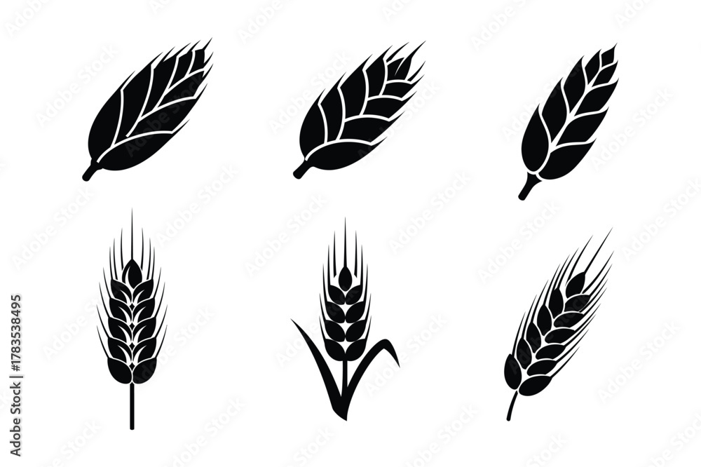 Obraz premium Grain icon silhouette vector illustration design