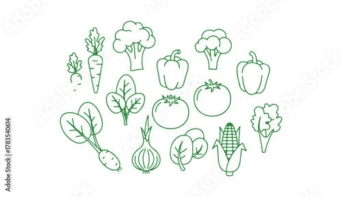 Vector illustration of vegetables on a clear background. High-quality symbols. Stroke vector icon for graphic design and concepts.

