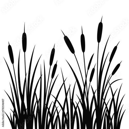 Silhouette of cattails and reeds on a white background