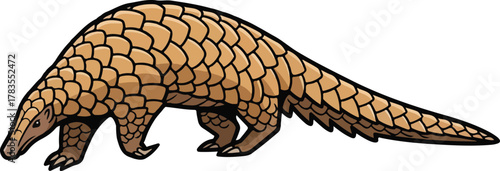 Indian Pangolin animal walking vector illustration