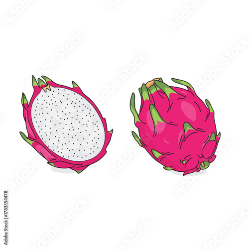 Cutaway Dragon Fruit Vector – Whole and Half Cut Tropical Pitaya Illustration