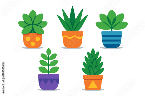 Colorful set of five potted succulent and house plants in decorative containers