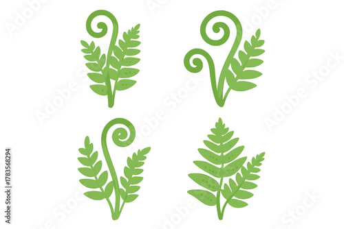Set of four stylized green fern plants with coiled fiddleheads and mature fronds