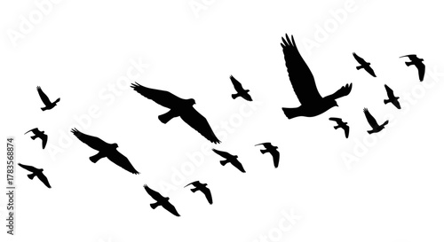 A dynamic flock of silhouette birds in flight, captured against a stark white background, showcasing the elegance and freedom of avian movement in a vector graphic illustration.