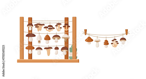 Assortment of dried mushrooms hanging on strings for preservation.