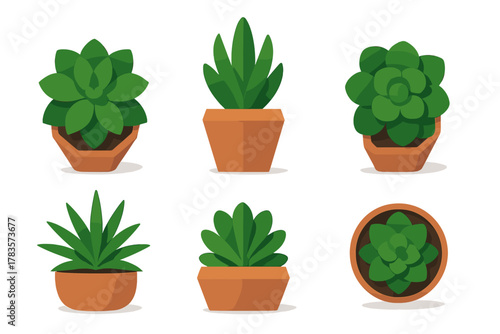 Collection of six stylized green houseplants and succulents in geometric terracotta pots