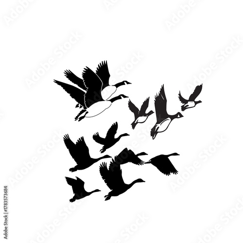 Flying geese silhouettes soaring gracefully in formation, symbolizing teamwork, migration, freedom, and natural beauty.