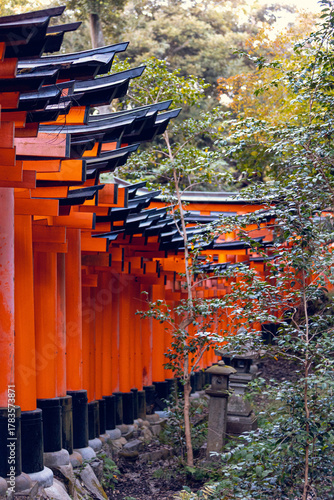 Fushimi Inari Shrine Torii Gates in Kyoto, Japan