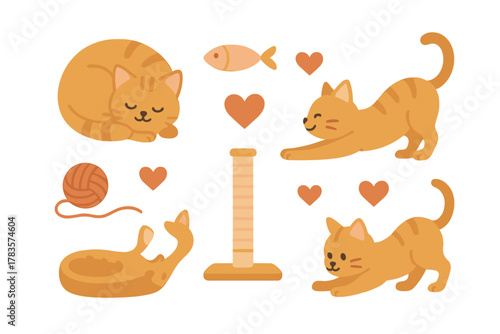 Adorable orange tabby cats in various poses with essential pet accessories