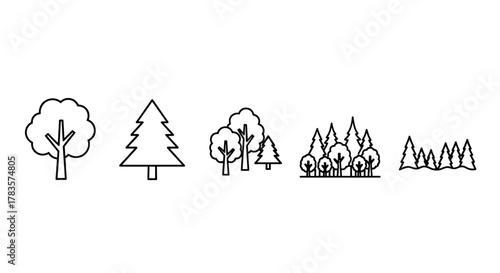 Set of simple line icons representing various trees and forest scenes, including deciduous and coniferous species, presented on a clean white background, ideal for graphic design, book illustrations